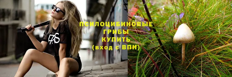 продажа наркотиков  blacksprut как зайти  Псилоцибиновые грибы Psilocybine cubensis  Крымск 